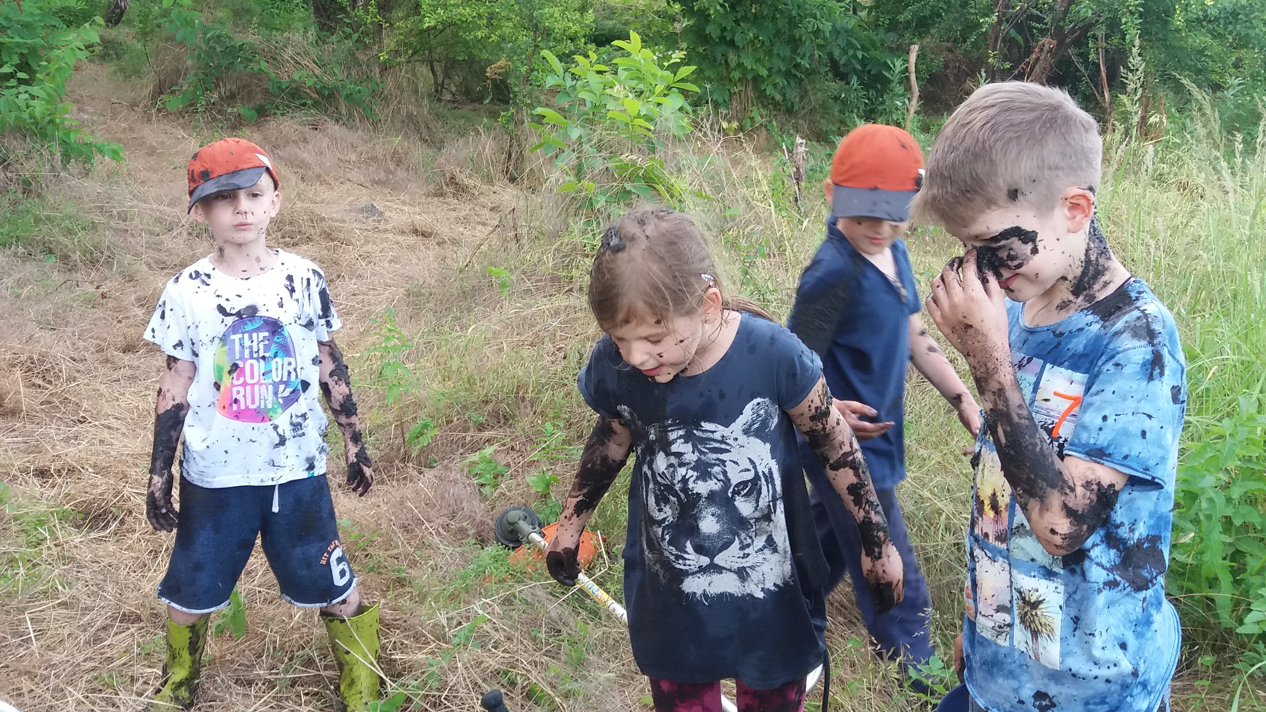 Lucrări / întreținere – Delta Gruiului